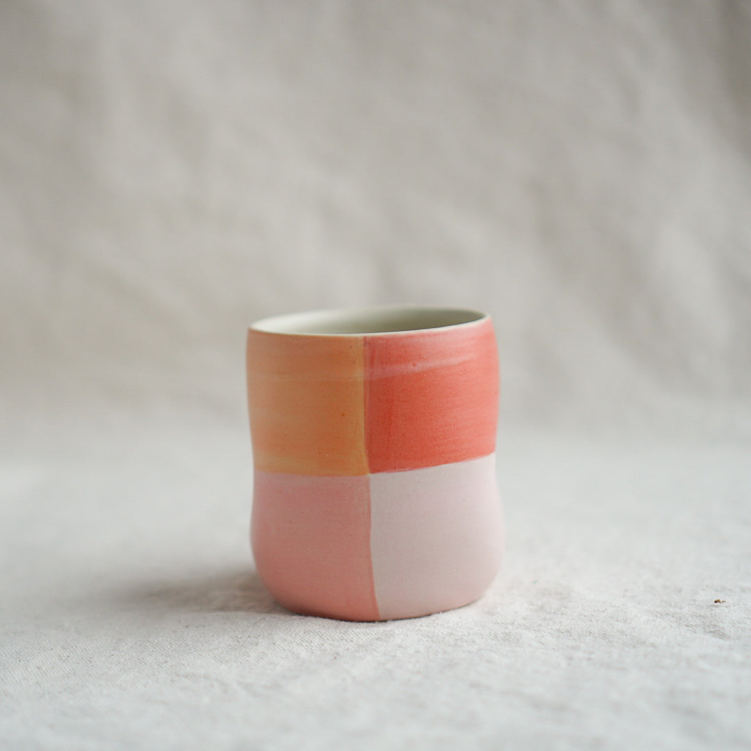 Color Block Tumbler